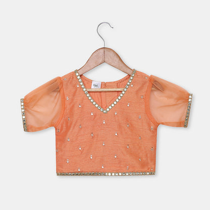 Mirror Work Embroidered Top with Flared Multi Color Lehenga. - My Store