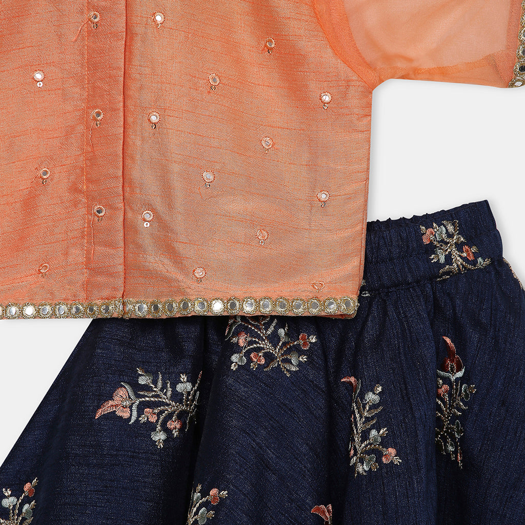 Mirror Work Embroidered Top with Flared Multi Color Lehenga. - My Store