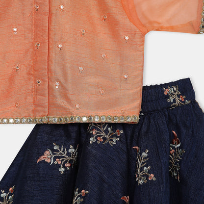 Mirror Work Embroidered Top with Flared Multi Color Lehenga. - My Store