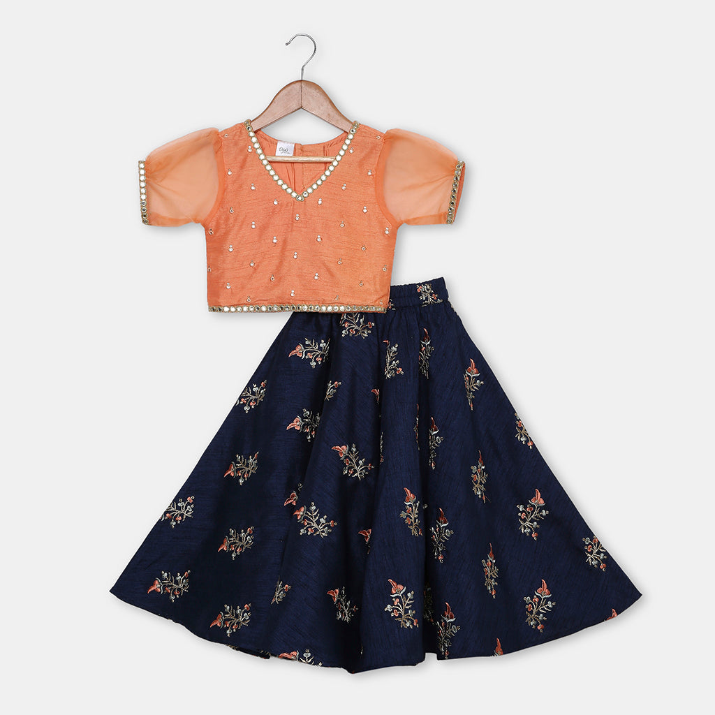 Mirror Work Embroidered Top with Flared Multi Color Lehenga. - My Store